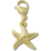 Goldener Seestern-Anhänger Jibbitz™ Goldener Seestern-Anhänger Jibbitz™