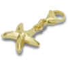 Goldener Seestern-Anhänger Jibbitz™ Goldener Seestern-Anhänger Jibbitz™
