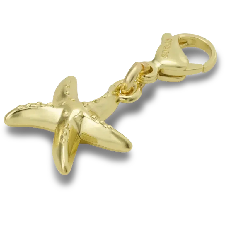 Goldener Seestern-Anhänger Jibbitz™ Goldener Seestern-Anhänger Jibbitz™