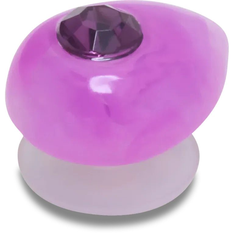 Jibbitz-Anstecker aus der Amethyst-Kollektion (Geburtsstein des Monats Februar) Jibbitz-Anstecker aus der Amethyst-Kollektion (Geburtsstein des Monats Februar)