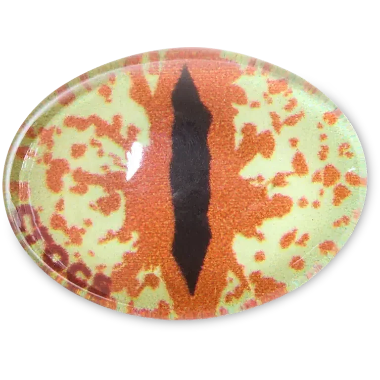 Jibbitz-Anstecker „Hazel Animal Eye“ Jibbitz-Anstecker „Hazel Animal Eye“