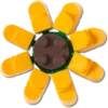 Lego®-Sonnenblumen-Jibbitz-Anstecker Lego®-Sonnenblumen-Jibbitz-Anstecker